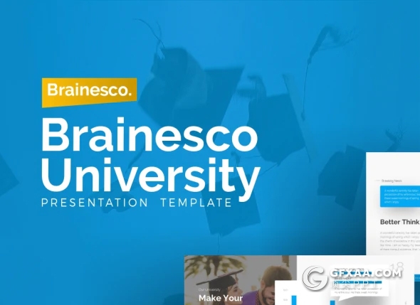 75页高端设计风格教育培训风格PPT模板 21种主题配色94个xml配色文件 - 顶尖PPT