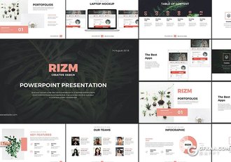 86页粉色简约范工作汇报分析统计PPT模板 - 顶尖PPT