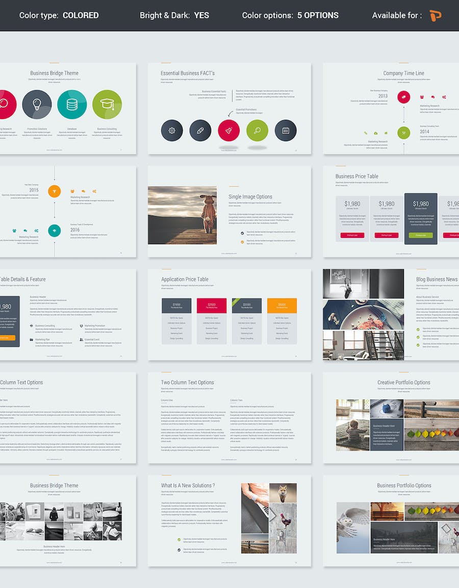 欧美商务业务合作项目展示国外PPT模板 - 顶尖PPT
