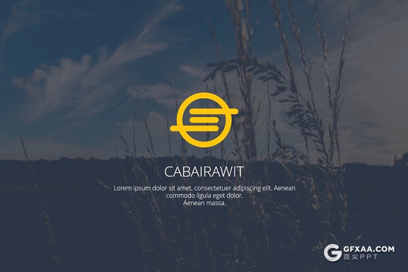 45页欧美风格 团队介绍工作总结分析PPT模板 - 顶尖PPT