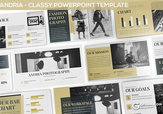 30页扁平化摄影行业介绍展示PPT模板 3种主题配色 - 顶尖PPT