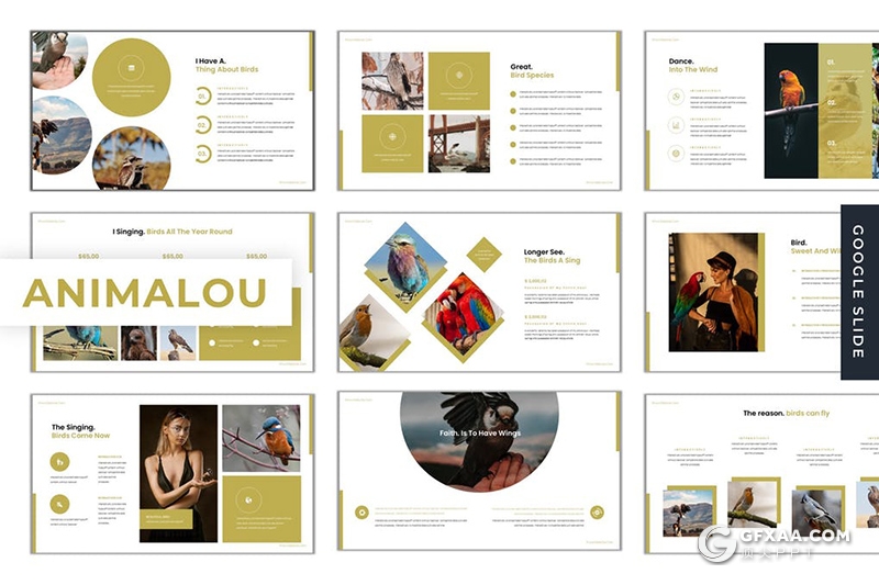 30页5种配色动物介绍展示Google slides模板 - 顶尖PPT