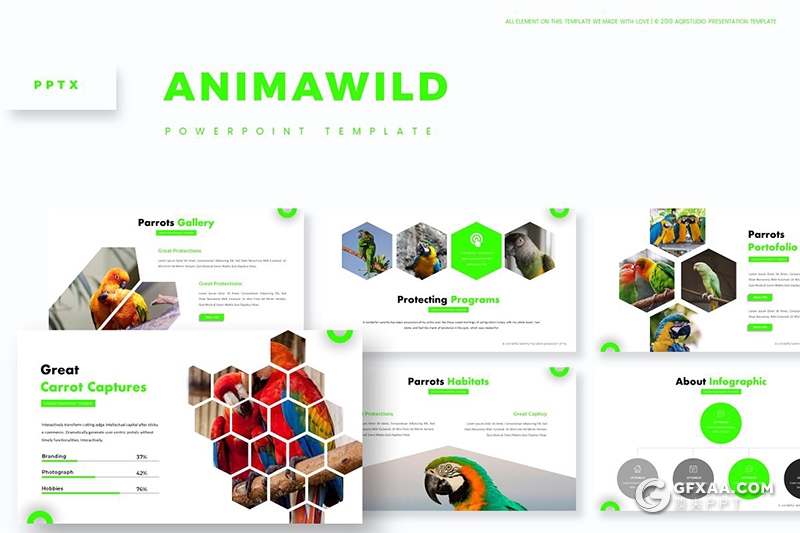 30页创意六边形组合鸟类介绍展示Google slides模板 5种主题配色 - 顶尖PPT