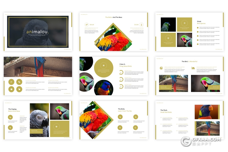 30页5种配色动物介绍展示keynote模板 - 顶尖PPT