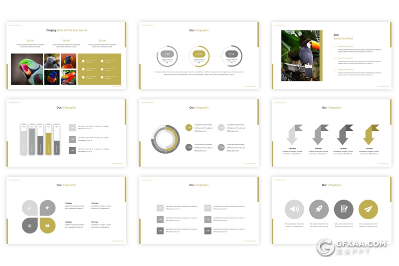 30页5种配色动物介绍展示keynote模板 - 顶尖PPT