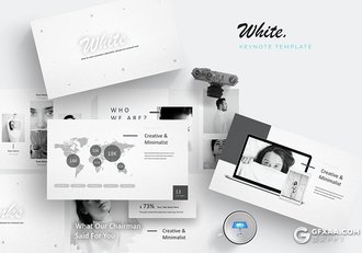 30页黑白灰配色美容美体行业工作项目汇报介绍keynote模板 5种主题配色 - 顶尖PPT