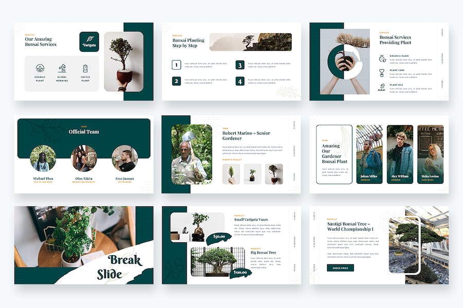 园林艺术盆景树花园主题展示PPT模板 - 顶尖PPT