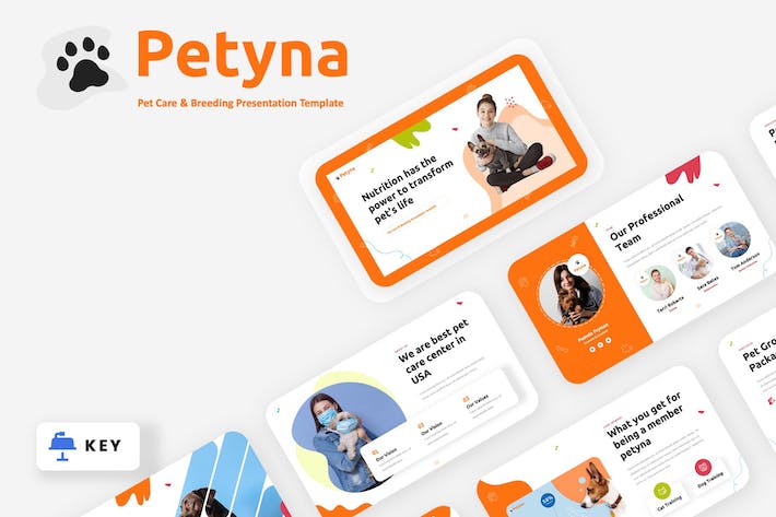 宠物护理繁育数据Keynote模板 - 顶尖PPT