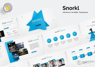 30页国外商务风格公司团队介绍工作总结Google slides模板 5种主题配色 - 顶尖PPT