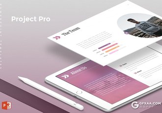 30页唯美配色项目分析欧美商务通用PPT模板 5种主题配色 - 顶尖PPT