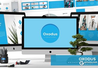 30页扁平化商务风格国外工作分析项目汇报keynote模板 5种主题配色 - 顶尖PPT