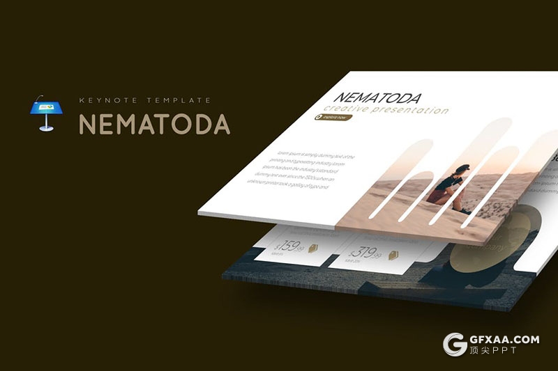 30页国外创意商务团队企业文化介绍keynote模板 5种主题配色 - 顶尖PPT