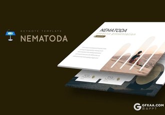 30页国外创意商务团队企业文化介绍keynote模板 5种主题配色 - 顶尖PPT