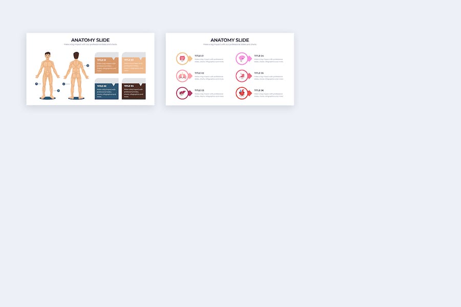 医学人体解剖学教学课件信息图Keynote模板 - 顶尖PPT