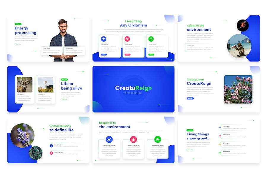 创作论文研究发表方案Keynote模板 - 顶尖PPT