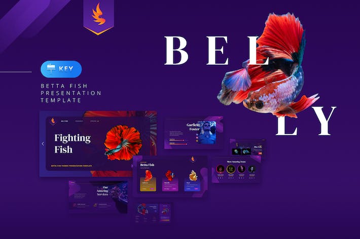 海洋鱼类介绍科普keynote模板 - 顶尖PPT