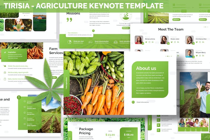 农业产业发展规划方案Keynote模板 - 顶尖PPT