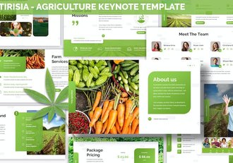 农业产业发展规划方案Keynote模板 - 顶尖PPT