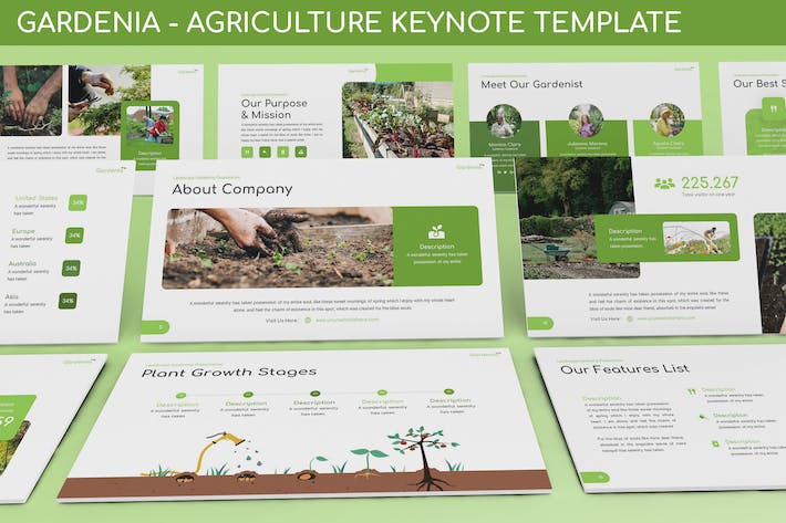 绿色栀子花农业种植Keynote模板 - 顶尖PPT