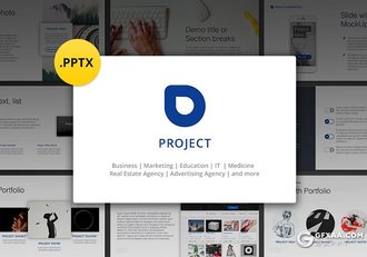 341页国外商务PPT模板合集创意图形世界各国地图icon图标 - 顶尖PPT