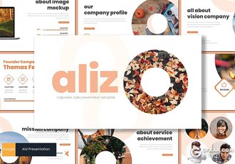 30页创意圆形版式设计简约唯美风格Google slides模板 5种主题配色 - 顶尖PPT