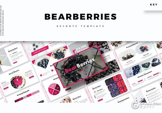 30页扁平化水果介绍展示keynote模板 5种主题配色 - 顶尖PPT