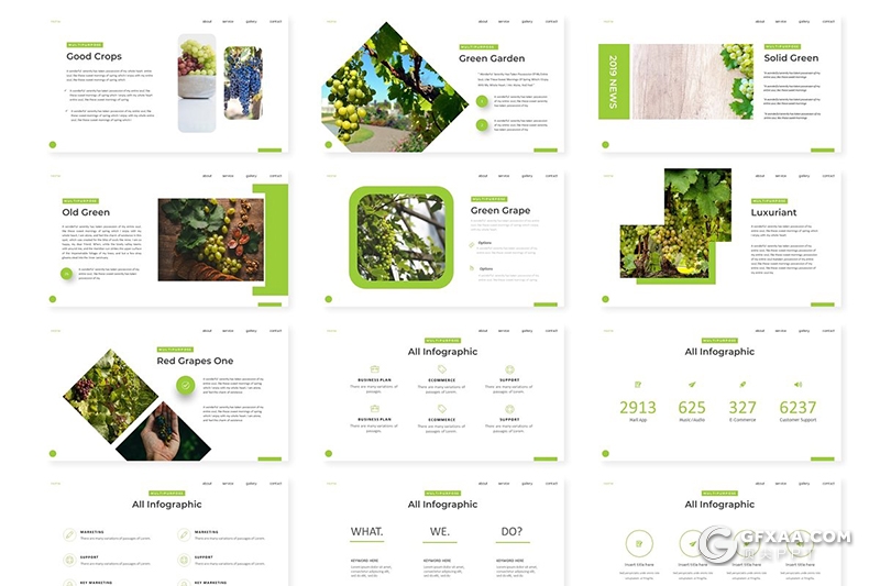 30页5种配色水果介绍展示销量分析统计PPT模板 - 顶尖PPT