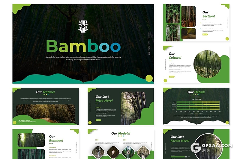 30页创意图形版式设计森林绿化统计分析PPT模板5种主题配色 - 顶尖PPT