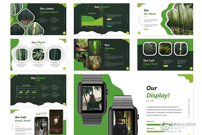 30页创意图形版式设计森林绿化统计分析PPT模板5种主题配色 - 顶尖PPT