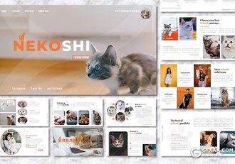 36页宠物展示介绍主题宠物领养宠物摄影分析行业PPT模板 - 顶尖PPT