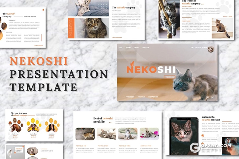 36页宠物展示介绍主题宠物领养宠物摄影分析行业Google slides模板 - 顶尖PPT