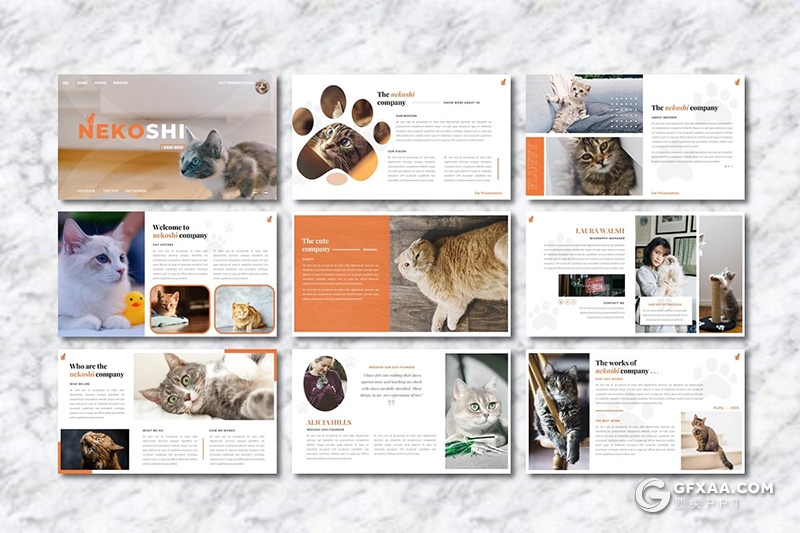 36页宠物展示介绍主题宠物领养宠物摄影分析行业Google slides模板 - 顶尖PPT