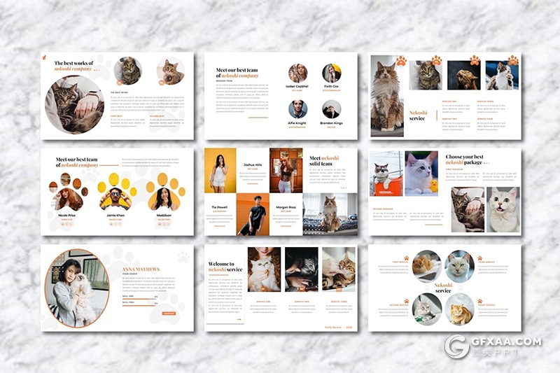 36页宠物展示介绍主题宠物领养宠物摄影分析行业Google slides模板 - 顶尖PPT