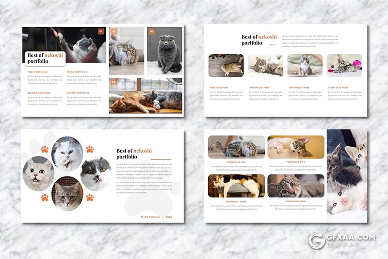 36页宠物展示介绍主题宠物领养宠物摄影分析行业Google slides模板 - 顶尖PPT