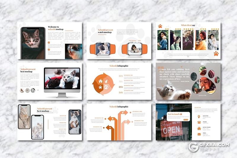 36页宠物展示介绍主题宠物领养宠物摄影分析行业Google slides模板 - 顶尖PPT