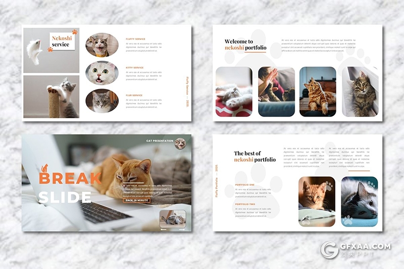 36页宠物展示介绍主题宠物领养宠物摄影分析行业Google slides模板 - 顶尖PPT