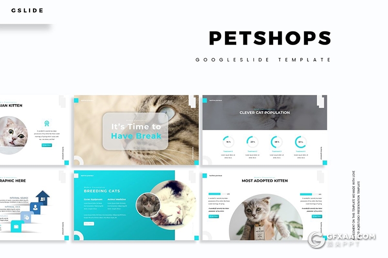 30页扁平化简约风格宠物介绍展示宠物市场分析Google slides模板5种主题配色 - 顶尖PPT