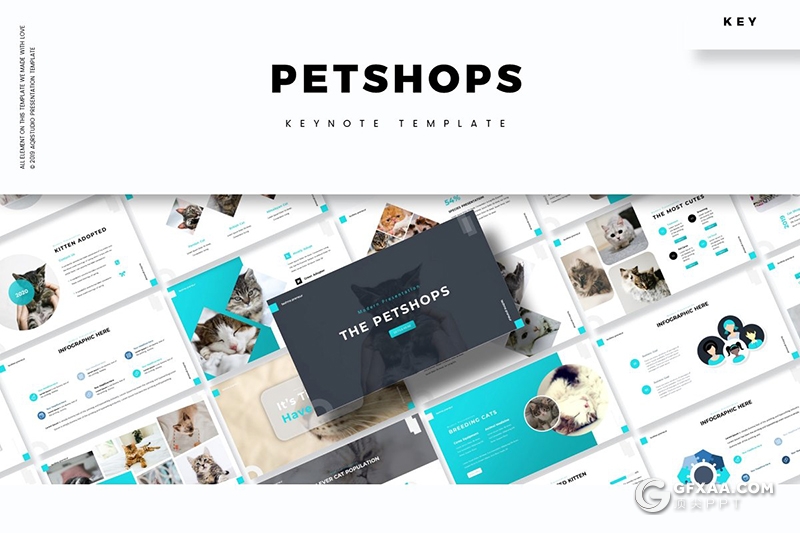 30页扁平化简约风格宠物介绍展示宠物市场分析keynote模板5种主题配色 - 顶尖PPT