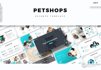 30页扁平化简约风格宠物介绍展示宠物市场分析keynote模板5种主题配色 - 顶尖PPT