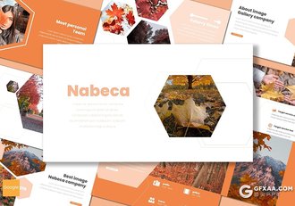 30页秋季枫叶摄影图片展示Google slides模板5种主题配色 - 顶尖PPT