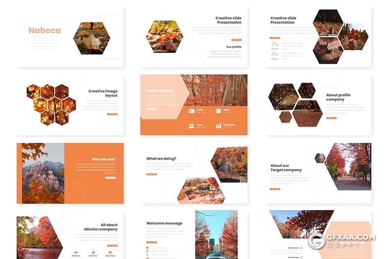 30页秋季枫叶摄影图片展示Google slides模板5种主题配色 - 顶尖PPT