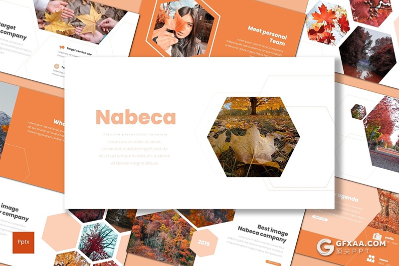 30页秋季枫叶摄影图片展示PPT模板5种主题配色 - 顶尖PPT