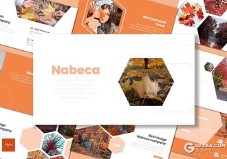 30页秋季枫叶摄影图片展示PPT模板5种主题配色 - 顶尖PPT