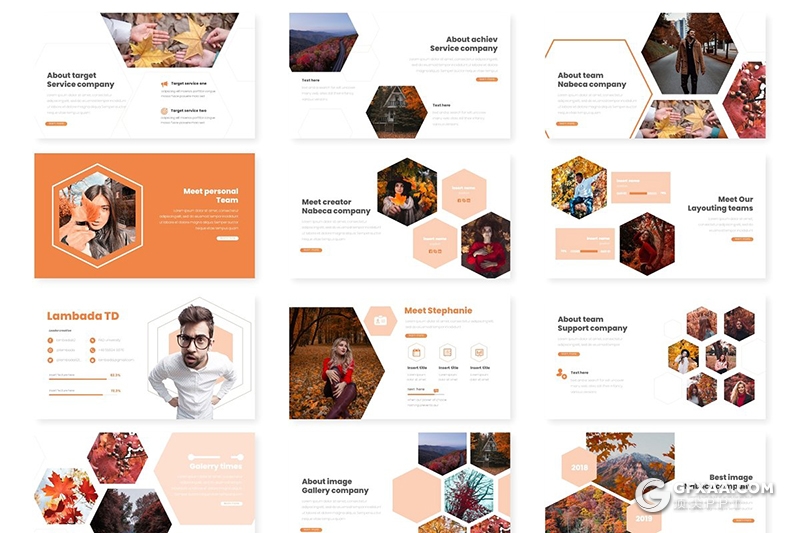 30页秋季枫叶摄影图片展示Google slides模板5种主题配色 - 顶尖PPT