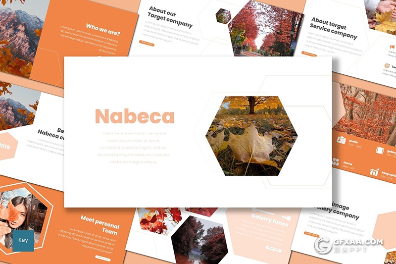 30页秋季枫叶摄影图片展示keynote模板5种主题配色 - 顶尖PPT
