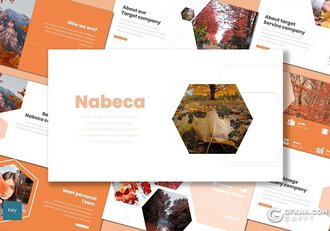 30页秋季枫叶摄影图片展示keynote模板5种主题配色 - 顶尖PPT