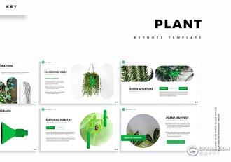 30页盆栽景观植物市场分析介绍展示keynote模板5种主题配色 - 顶尖PPT