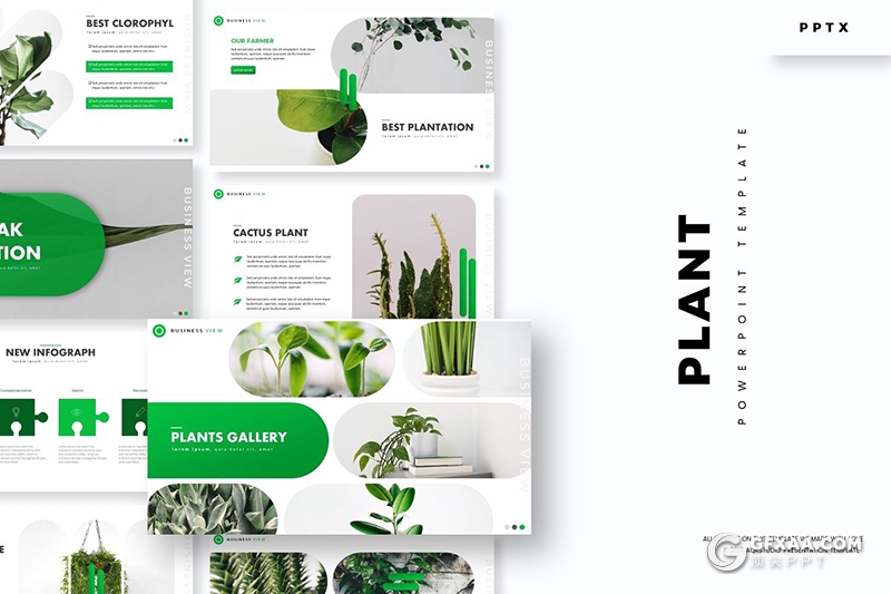 30页盆栽景观植物市场分析介绍展示PPT模板5种主题配色 - 顶尖PPT