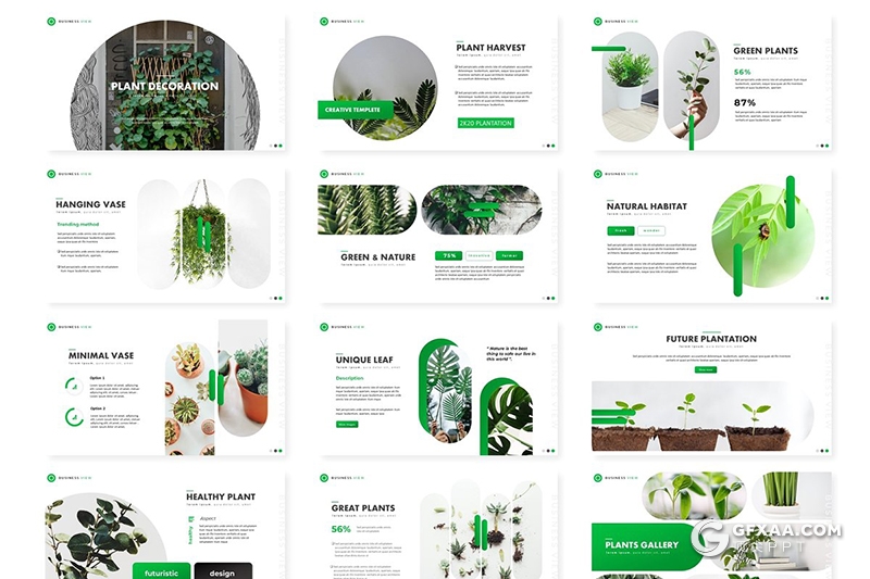 30页盆栽景观植物市场分析介绍展示PPT模板5种主题配色 - 顶尖PPT