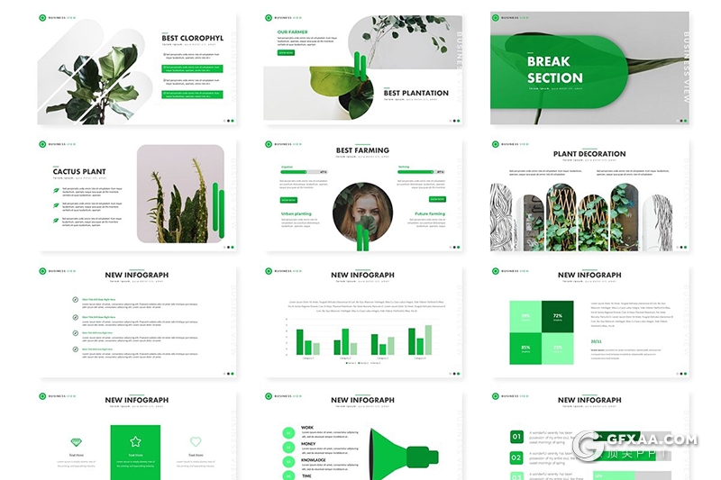 30页盆栽景观植物市场分析介绍展示PPT模板5种主题配色 - 顶尖PPT